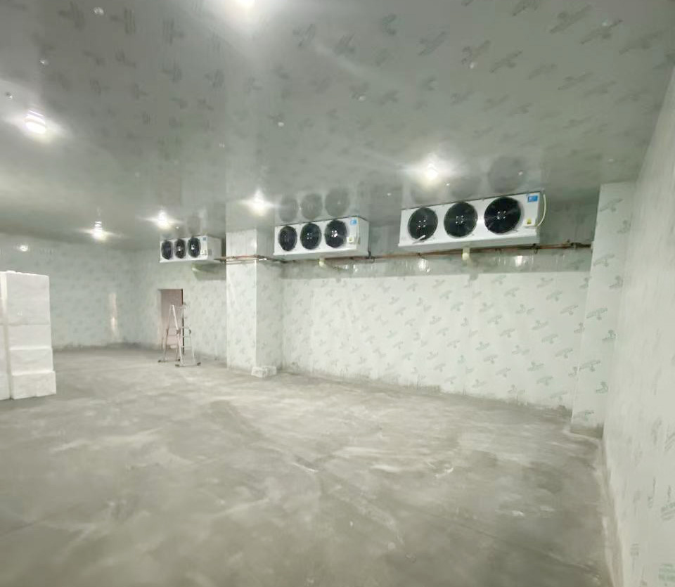 荊州普拉拉食品500立方-25度冰淇淋